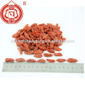 China certified organic dry goji berry dried fruit with sweet taste